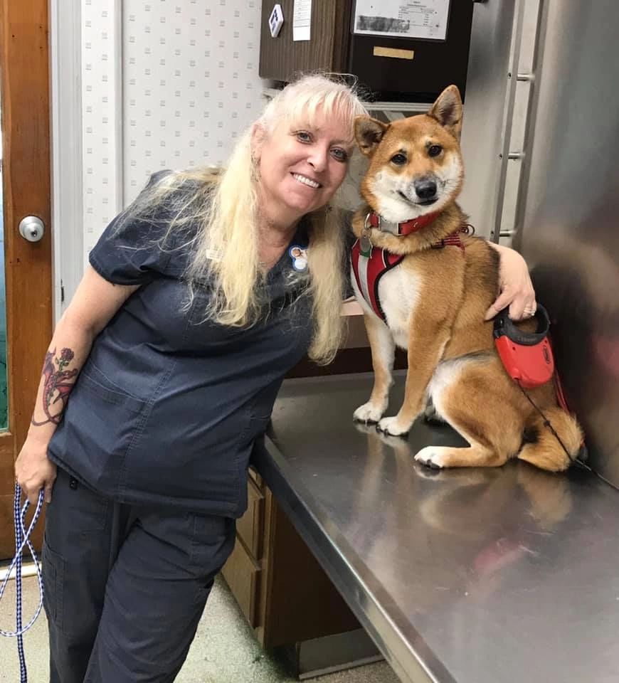 Animal Hospital WinstonSalem, North Carolina